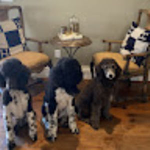 Meet your Posher, Mimi